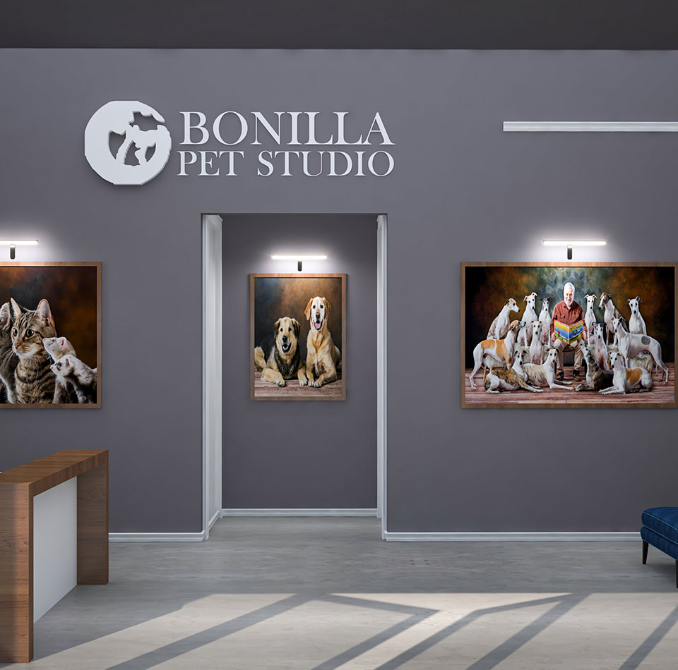 Bonilla Pet Studio space planning render